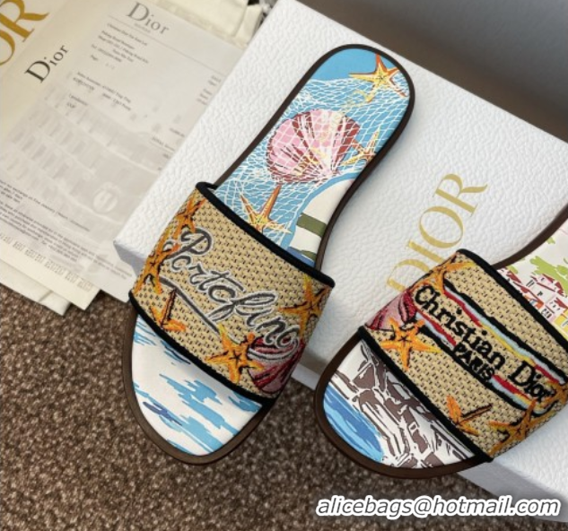 Good Quality Dior Dway Flat Slides Sandal in Straw and Embroidered Cotton Blue/White DR082204 0822087