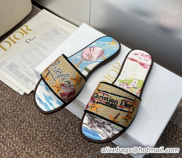 Good Quality Dior Dway Flat Slides Sandal in Straw and Embroidered Cotton Blue/White DR082204 0822087