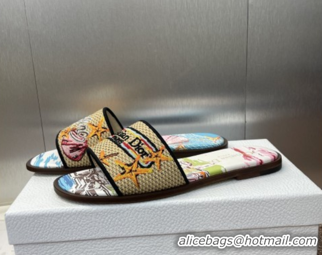 Good Quality Dior Dway Flat Slides Sandal in Straw and Embroidered Cotton Blue/White DR082204 0822087