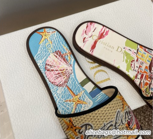 Good Quality Dior Dway Flat Slides Sandal in Straw and Embroidered Cotton Blue/White DR082204 0822087