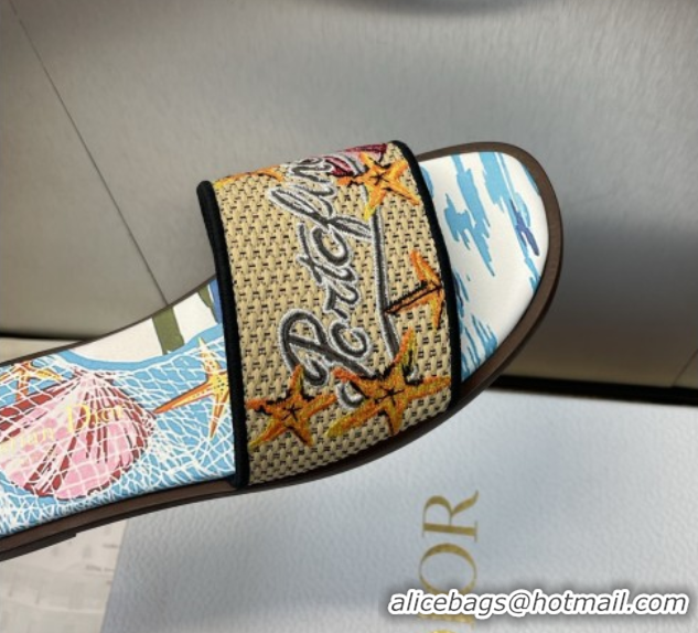 Good Quality Dior Dway Flat Slides Sandal in Straw and Embroidered Cotton Blue/White DR082204 0822087