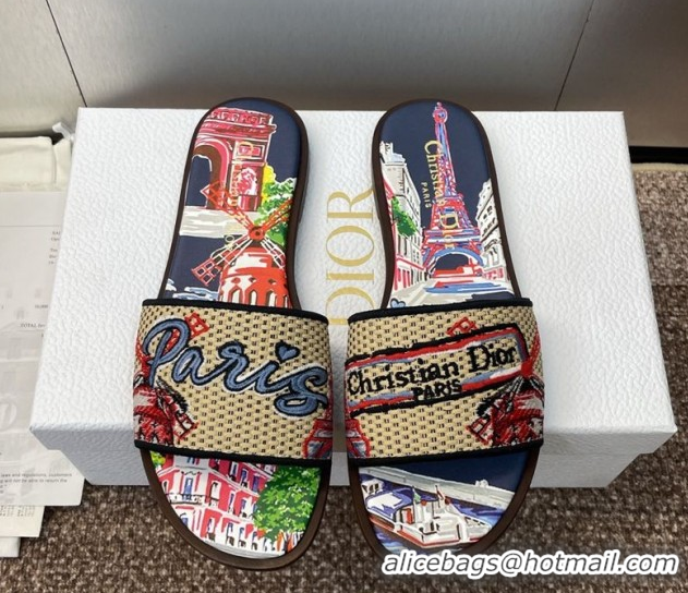 Stylish Dior Dway Flat Slides Sandal in Straw and Embroidered Cotton Deep Blue DR082204 0822088