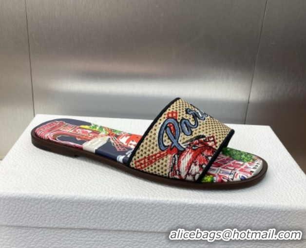 Stylish Dior Dway Flat Slides Sandal in Straw and Embroidered Cotton Deep Blue DR082204 0822088