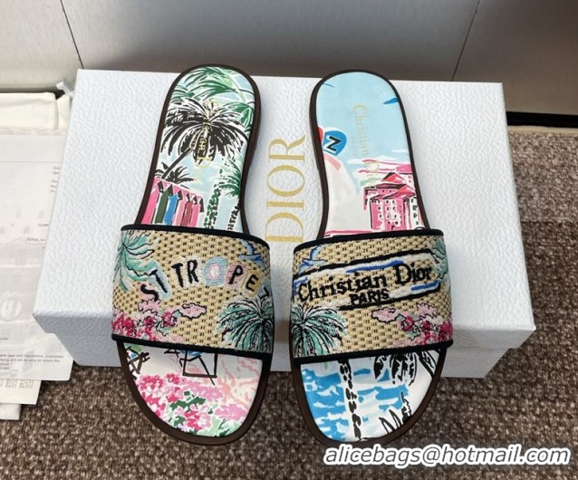 Sumptuous Dior Dway Flat Slides Sandal in Straw and Embroidered Cotton Light Blue DR082204 0822090