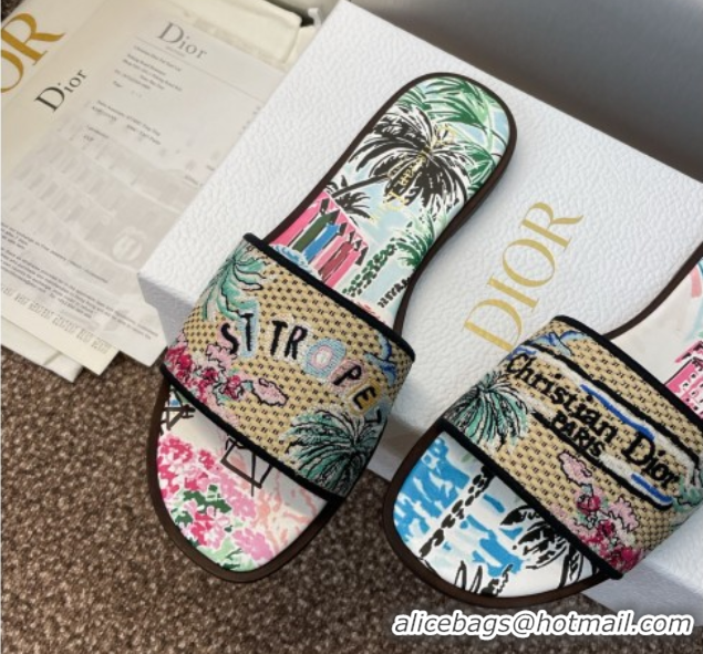 Sumptuous Dior Dway Flat Slides Sandal in Straw and Embroidered Cotton Light Blue DR082204 0822090