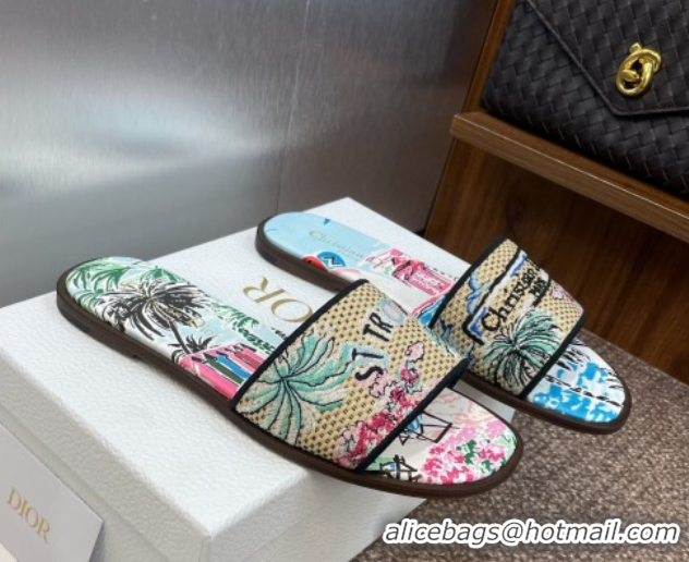 Sumptuous Dior Dway Flat Slides Sandal in Straw and Embroidered Cotton Light Blue DR082204 0822090