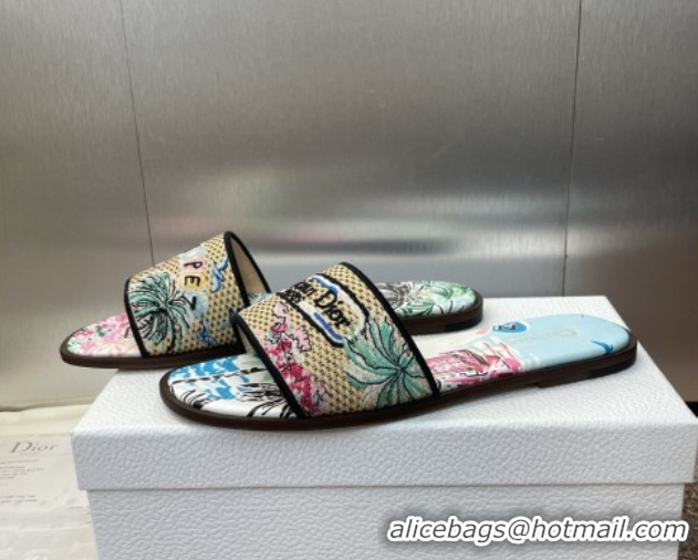 Sumptuous Dior Dway Flat Slides Sandal in Straw and Embroidered Cotton Light Blue DR082204 0822090
