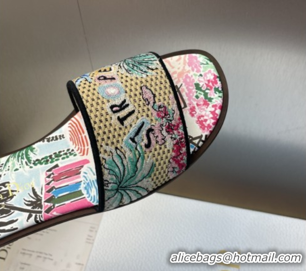 Sumptuous Dior Dway Flat Slides Sandal in Straw and Embroidered Cotton Light Blue DR082204 0822090
