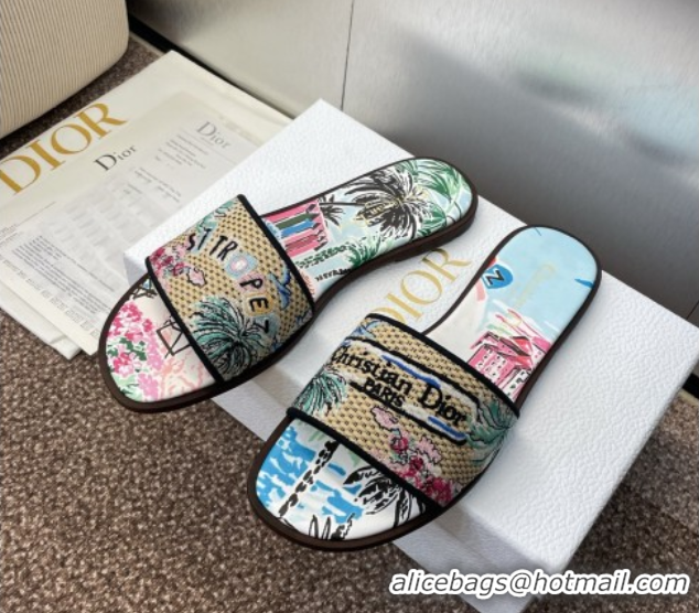 Sumptuous Dior Dway Flat Slides Sandal in Straw and Embroidered Cotton Light Blue DR082204 0822090