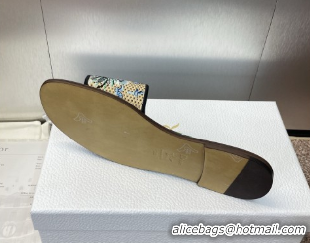Sumptuous Dior Dway Flat Slides Sandal in Straw and Embroidered Cotton Light Blue DR082204 0822090