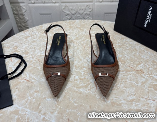 Luxurious Saint Laurent Mesh Slingback Pumps 3.5cm with Buckle Brown 0825118
