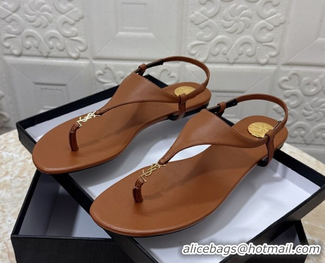 New Style Saint Laurent Cassandra Flat Thong Sandals in Calfskin Brown 0825130