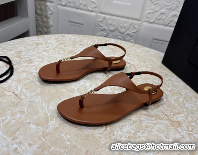New Style Saint Laurent Cassandra Flat Thong Sandals in Calfskin Brown 0825130