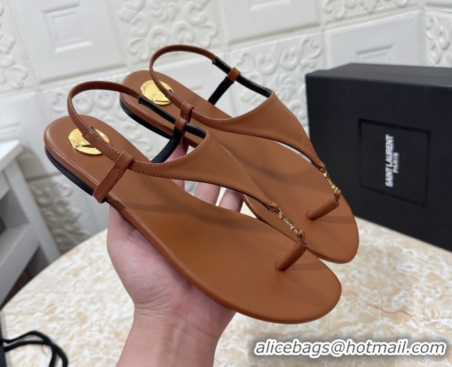 New Style Saint Laurent Cassandra Flat Thong Sandals in Calfskin Brown 0825130