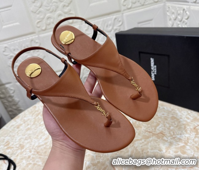 New Style Saint Laurent Cassandra Flat Thong Sandals in Calfskin Brown 0825130