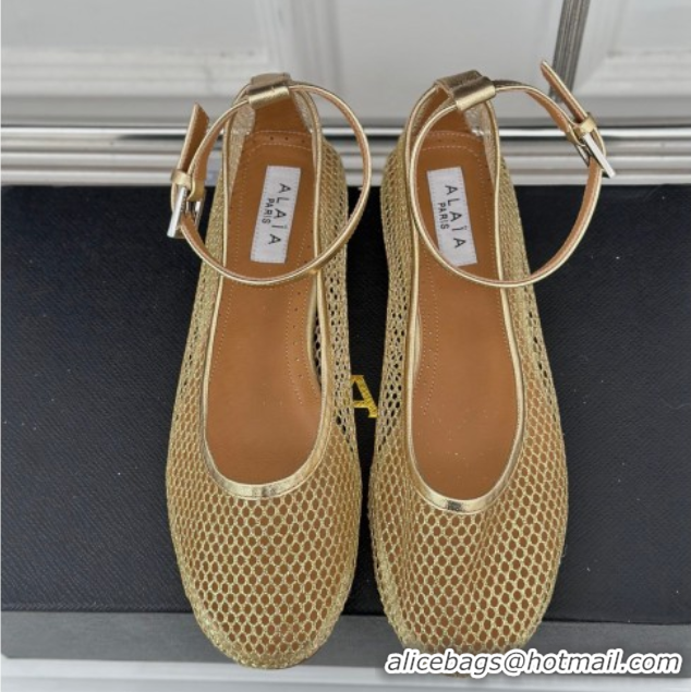 Purchase Alaia Ballet Flats in Fishnet and Ankle Strap Gold-Tone 1112004