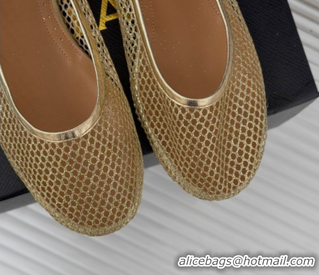 Purchase Alaia Ballet Flats in Fishnet and Ankle Strap Gold-Tone 1112004