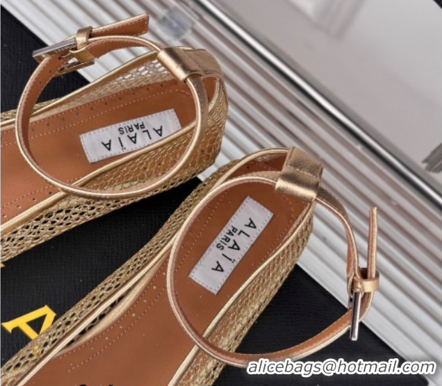 Purchase Alaia Ballet Flats in Fishnet and Ankle Strap Gold-Tone 1112004