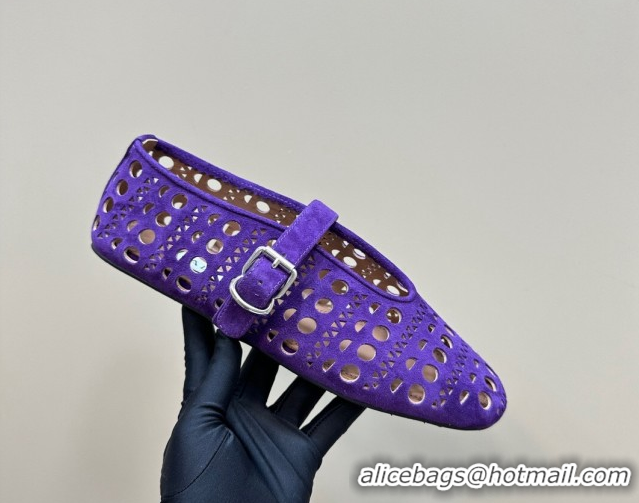 Popular Style Alaia Ballet Flat in Openwork Suede Dark Purple 1223003
