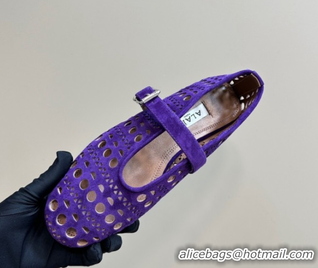 Popular Style Alaia Ballet Flat in Openwork Suede Dark Purple 1223003