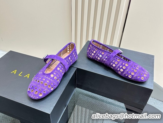 Popular Style Alaia Ballet Flat in Openwork Suede Dark Purple 1223003