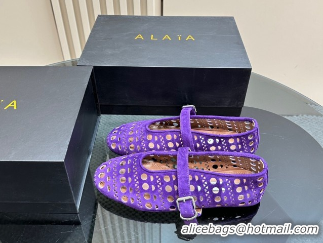 Popular Style Alaia Ballet Flat in Openwork Suede Dark Purple 1223003