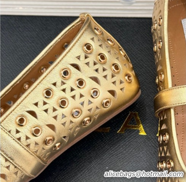 Best Price Alaia Ballet Flat in Openwork Leather with Eyelet Gold 1223012