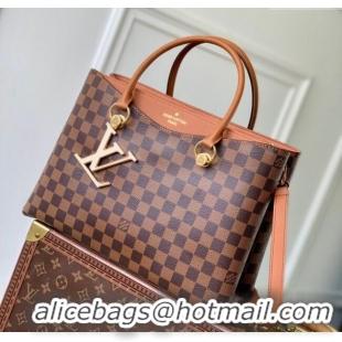 Promotional Louis Vuitton Riverside Tote Bag in Damier Ebene Canvas N40050 Brown 2025