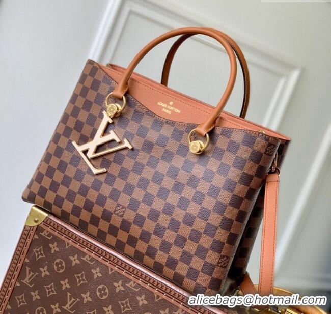 Promotional Louis Vuitton Riverside Tote Bag in Damier Ebene Canvas N40050 Brown 2025