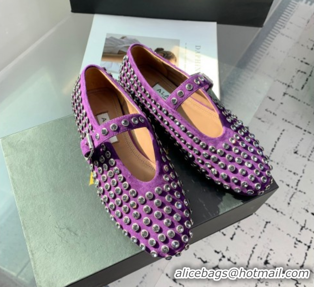 Stylish Alaia Ballet Flat in Suede with Strass Purple 1223026