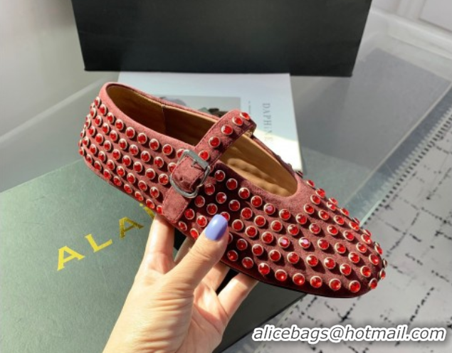 Good Quality Alaia Ballet Flat in Suede with Strass Dark Brown 1223028