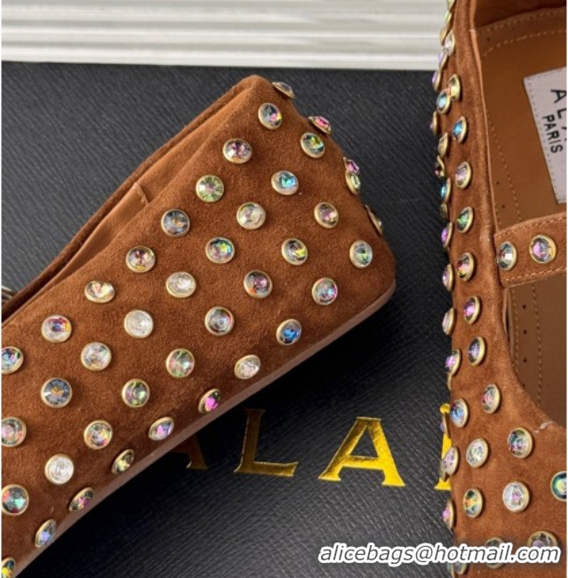 Purchase Alaia Ballet Flat in Suede with Strass Brown 1223029
