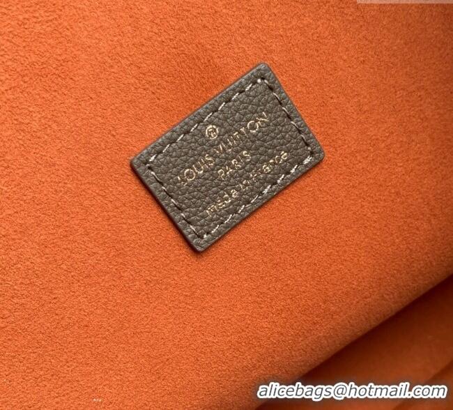 Spot Bulk Louis Vuitton Low Key Hobo PM bag in Calfskin M15205 Smoke Grey 2025