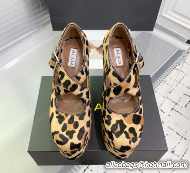 Best Price Maison Alaia Criss Cross Wedge Pumps 14.5cm in Leopard Haircalf Brown 0219010