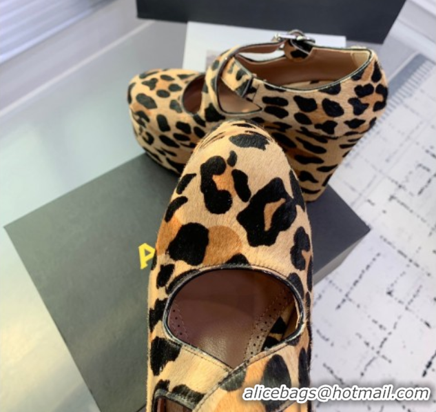 Best Price Maison Alaia Criss Cross Wedge Pumps 14.5cm in Leopard Haircalf Brown 0219010
