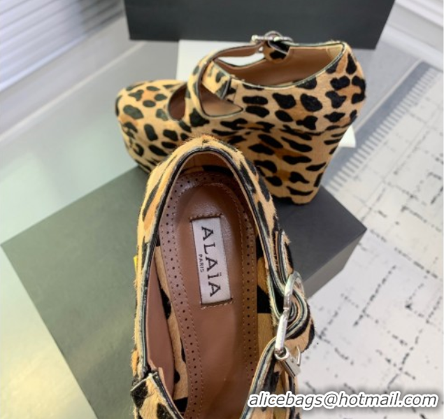 Best Price Maison Alaia Criss Cross Wedge Pumps 14.5cm in Leopard Haircalf Brown 0219010