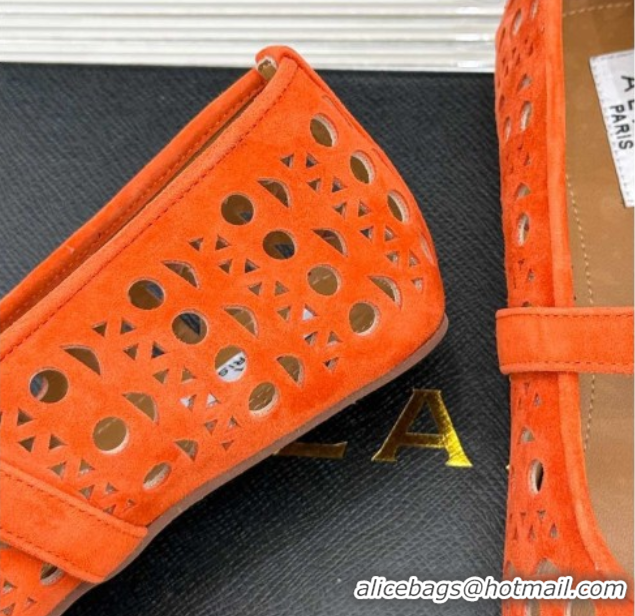Buy Discount Alaia Ballet Flat in Openwork Suede Orange 0224042