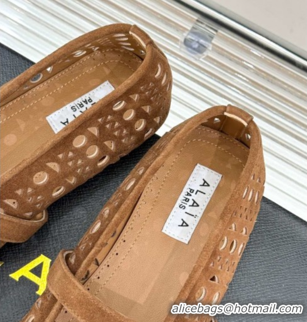 Top Grade Alaia Ballet Flat in Openwork Suede Bronw 50224048