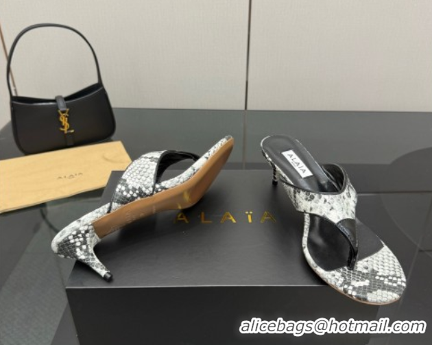 Charming Alaia Heel Thong Slides Sandal 5.5cm in Snakeskin-Like Grey 0827080