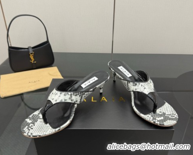 Charming Alaia Heel Thong Slides Sandal 5.5cm in Snakeskin-Like Grey 0827080