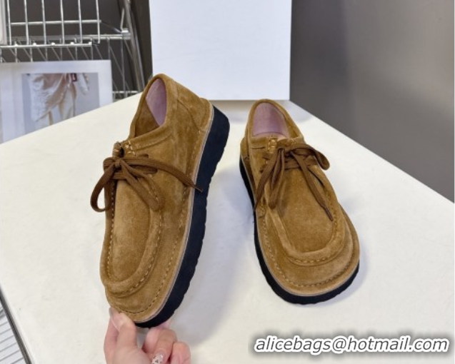 Best Price Loewe Faro Lace-up Shoes in Suede Dark Beige 50823078