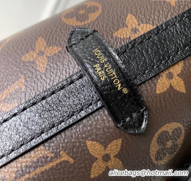 Original Cheap Louis Vuitton LV Ski CarryAll BB in Monogram Canvas M26568 2025