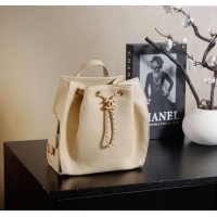 Market Sells Chanel Grained Calfskin 25 Medium Backpack Bag AS5600 Apricot Yellow 2025