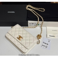Top Grade Chanel Shiny Lambskin Wallet On Chain WOC AP3938 White 2025