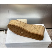 Fashion Dior Dway Platform Wedge Slides Sandal 10cm in Grained Calfskin Cream 0822043
