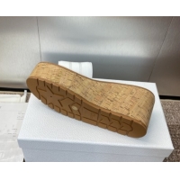 Unique Style Dior Dway Platform Wedge Slides Sandal 10cm in Grained Calfskin White 0822047