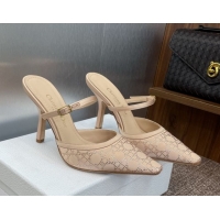 Popular Style Dior C...