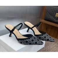 Luxurious Dior Captu...