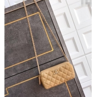 Luxury Classic Chanel Suede Zipped Phone Holder with Chain and Strass CH101102 Brown 2025