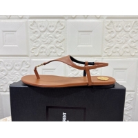 New Style Saint Laurent Cassandra Flat Thong Sandals in Calfskin Brown 0825130